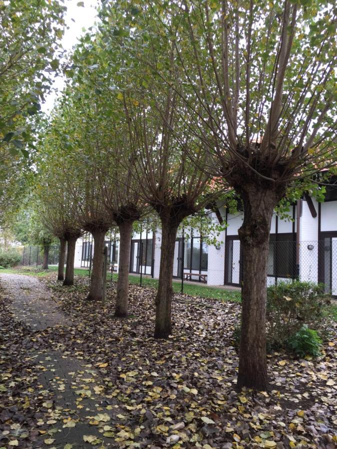 Vakantiewoning Kaviaar Middelkerke Eksteriør bilde